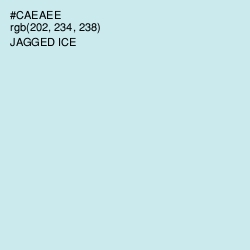 #CAEAEE - Jagged Ice Color Image